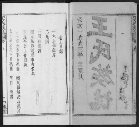湖北王氏族谱-王氏族志.pdf电子版插图2