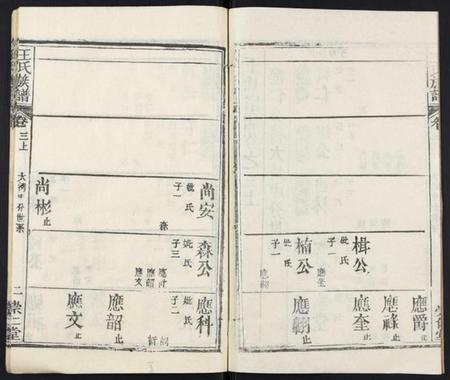 湖北王氏族谱-王氏族谱[9卷首2卷].pdf电子版插图2