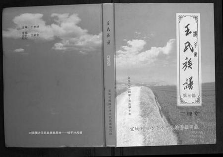 湖北王氏族谱-王氏族谱[不分卷].pdf电子版