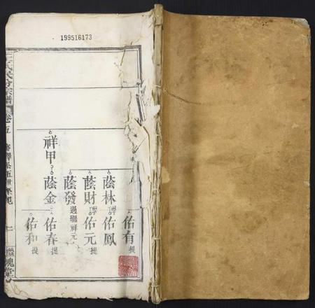 湖北王氏族谱-团溪王氏民分宗谱.pdf电子版插图