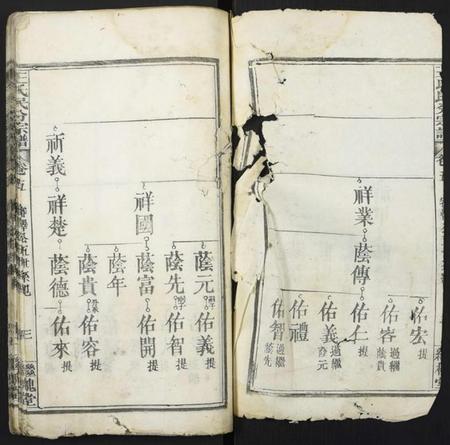 湖北王氏族谱-团溪王氏民分宗谱.pdf电子版插图1