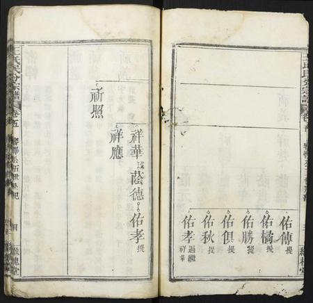 湖北王氏族谱-团溪王氏民分宗谱.pdf电子版插图2
