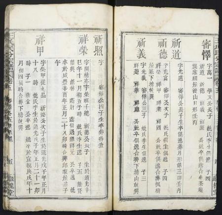 湖北王氏族谱-团溪王氏民分宗谱.pdf电子版插图3
