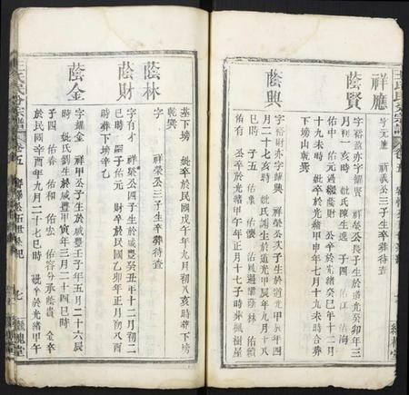 湖北王氏族谱-团溪王氏民分宗谱.pdf电子版插图5
