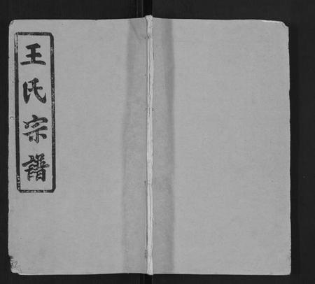 湖北王氏族谱-王氏五修竹林宗谱.pdf电子版插图
