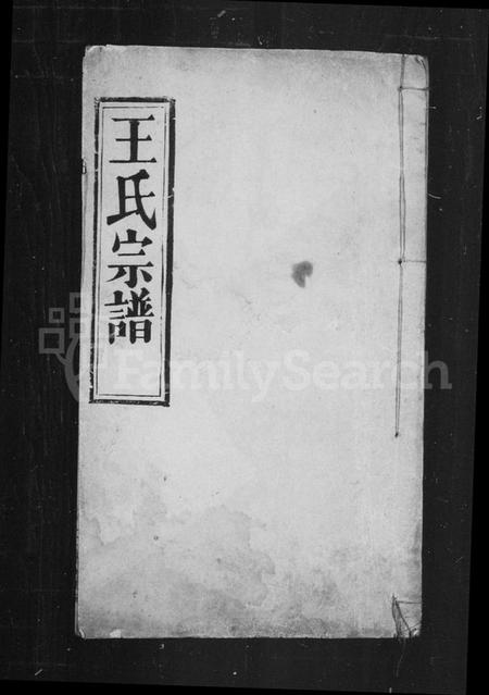 湖北王氏族谱-王氏宗谱.pdf电子版插图