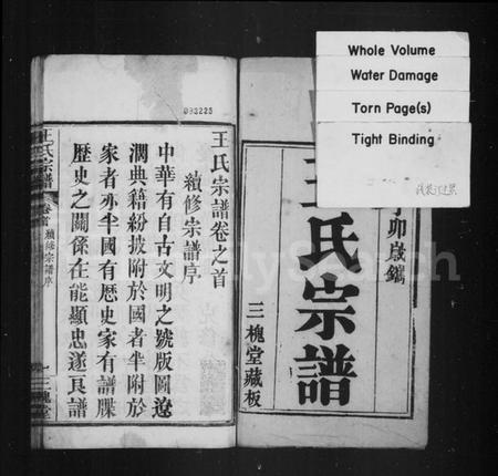 湖北王氏族谱-王氏宗谱.pdf电子版插图2