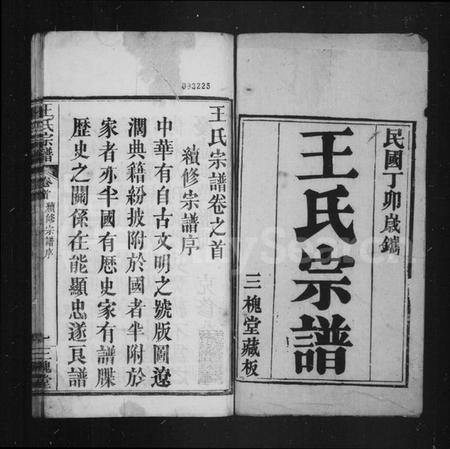 湖北王氏族谱-王氏宗谱.pdf电子版插图3