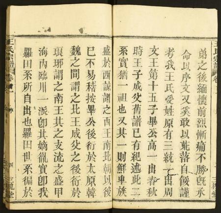 湖北王氏族谱-王氏宗谱.pdf电子版插图4