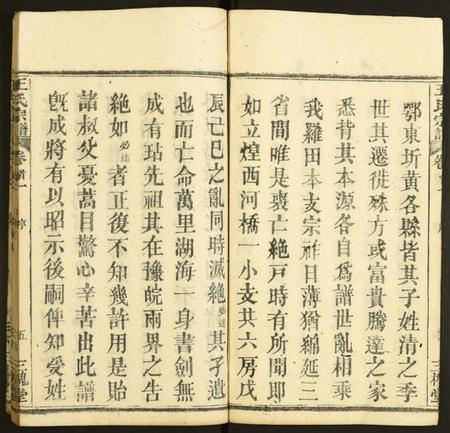 湖北王氏族谱-王氏宗谱.pdf电子版插图5