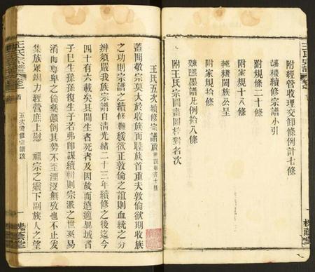 湖北王氏族谱-王氏宗谱.pdf电子版插图2 湖北王氏族谱-王氏宗谱.pdf电子版插图2