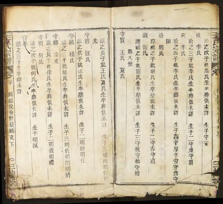 湖北王氏族谱-王氏宗谱.pdf电子版插图2