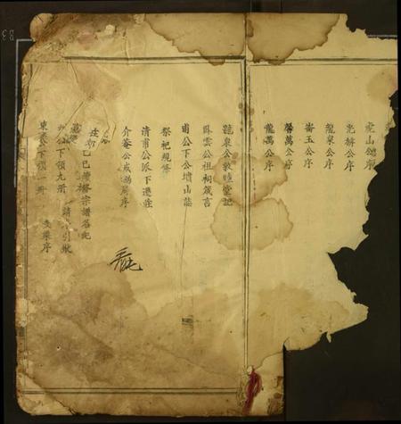 湖北王氏族谱-王氏宗谱.pdf电子版插图3