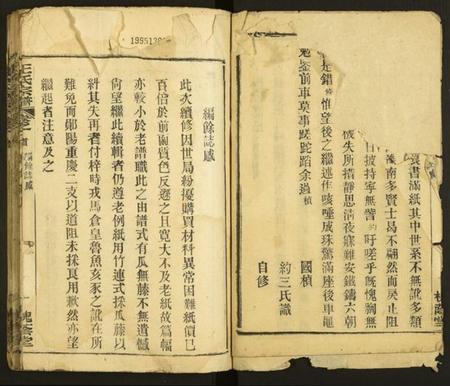 湖北王氏族谱-王氏宗谱.pdf电子版插图2