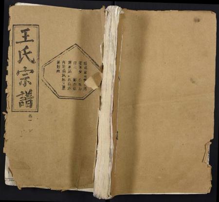 湖北王氏族谱-王氏宗谱.pdf电子版