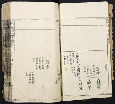 湖北王氏族谱-王氏宗谱.pdf电子版插图3