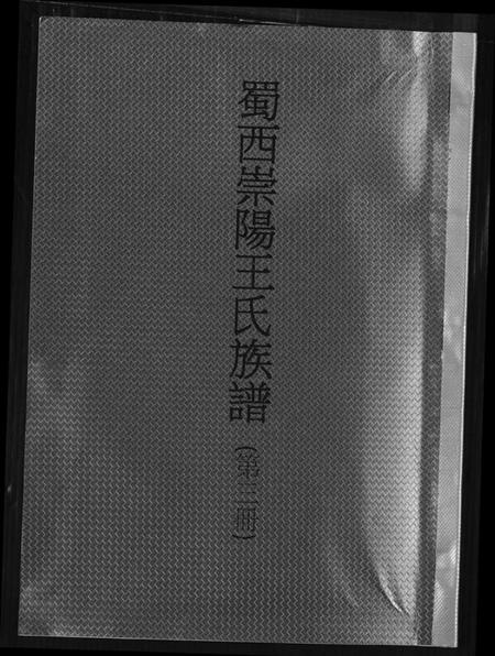 湖北王氏族谱-蜀西崇阳王氏族谱.pdf电子版插图