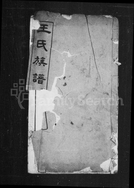 湖北王氏族谱-王氏族谱.pdf电子版插图