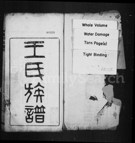 湖北王氏族谱-王氏族谱.pdf电子版插图1