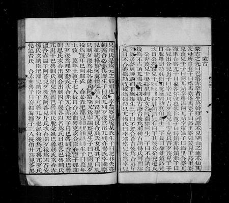 中国未知族谱-元史氏族表 [3卷].pdf电子版插图3