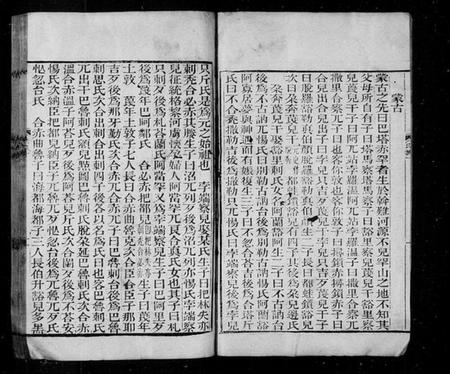 中国未知族谱-元史氏族表 [3卷].pdf电子版插图4