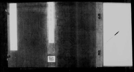 中国未知族谱-大桃年谱.pdf电子版插图2 中国未知族谱-大桃年谱.pdf电子版插图2