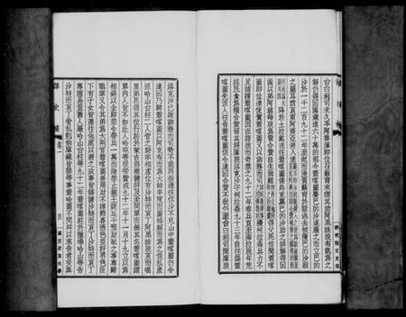 中国未知族谱-译史补.pdf电子版插图4