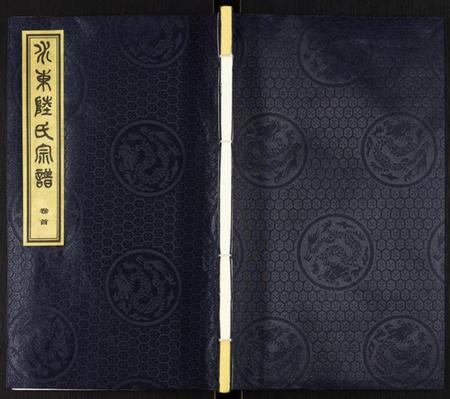 江苏未知族谱-水东陆氏宗谱.pdf电子版插图