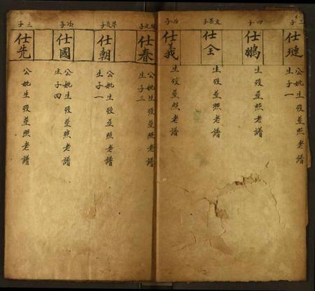 湖北未知族谱-黄市朱家楼.pdf电子版插图4