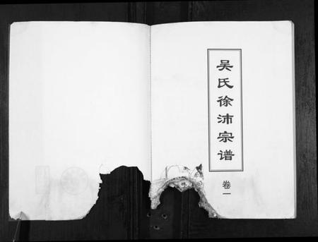 江苏吴氏族谱-吴氏徐沛宗谱.pdf电子版插图2