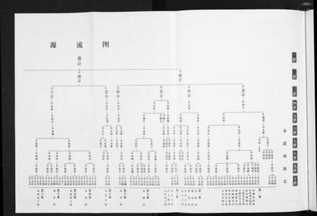湖北吴氏族谱-吴氏宗谱.pdf电子版插图2
