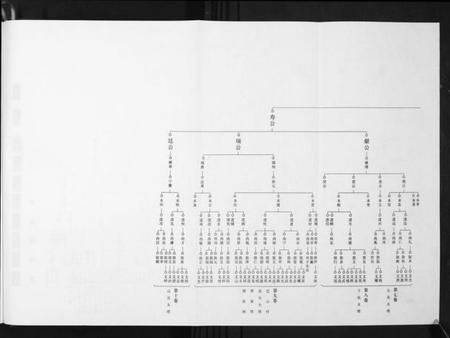 湖北吴氏族谱-吴氏宗谱.pdf电子版插图3
