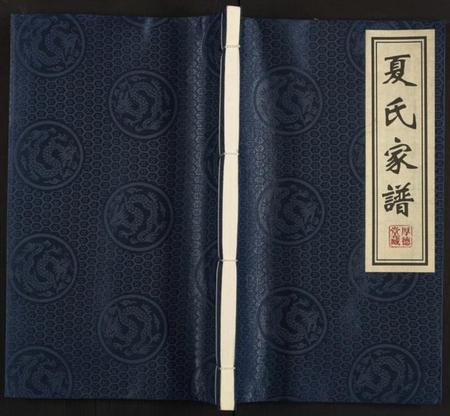 江苏夏氏族谱-夏氏家谱 [全1册].pdf电子版插图