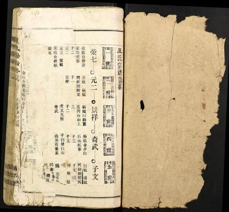 湖北夏氏族谱-夏氏宗谱.pdf电子版插图1