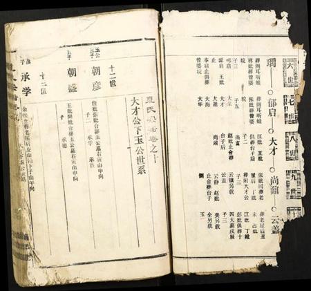 湖北夏氏族谱-夏氏宗谱.pdf电子版插图2