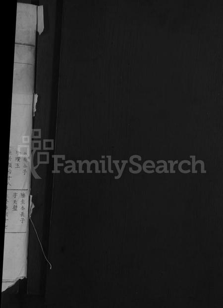 湖北夏氏族谱-夏氏宗谱[总卷数不详].pdf电子版插图2