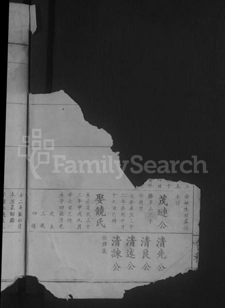 湖北夏氏族谱-夏氏宗谱[总卷数不详].pdf电子版插图4