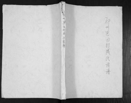 江苏咸氏族谱-邳州思田村咸氏族谱.pdf电子版插图