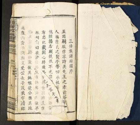 中国萧氏族谱-龙泉沿溪萧氏族谱.pdf电子版插图2
