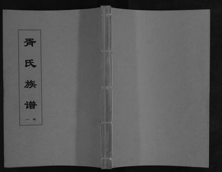 江苏胥氏族谱-胥氏族谱[4卷].pdf电子版插图