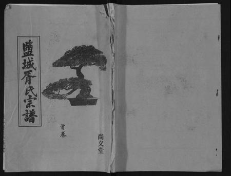 江苏胥氏族谱-盐城胥氏宗谱[6卷,首1卷].pdf电子版插图
