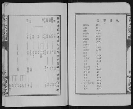 江苏胥氏族谱-盐城胥氏宗谱[6卷,首1卷].pdf电子版插图2