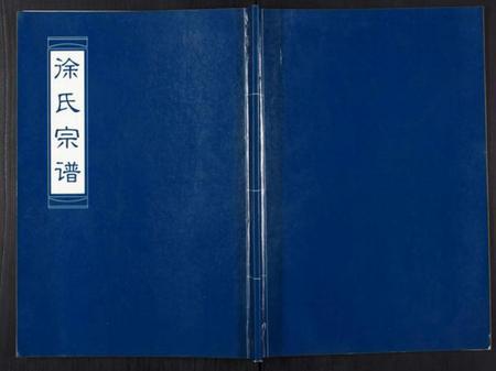 江苏徐氏族谱-徐氏宗谱[不分卷].pdf电子版插图