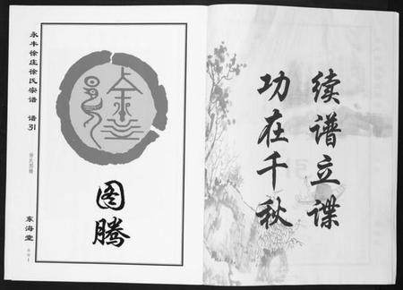 江苏徐氏族谱-永丰徐庄徐氏宗谱[上下册].pdf电子版插图4