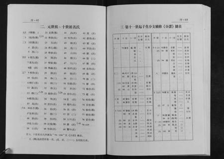 江苏徐氏族谱-蒋舍徐氏宗谱[不分卷].pdf电子版插图4