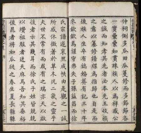 湖北徐氏族谱-徐氏宗谱.pdf电子版插图3