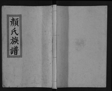 湖北颜氏族谱-颜氏族谱[不分卷].pdf电子版插图