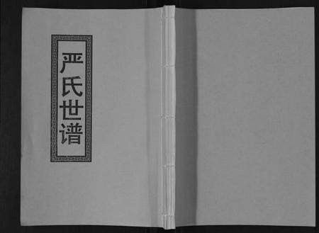 江苏严氏族谱-严氏家谱[不分卷].pdf电子版插图
