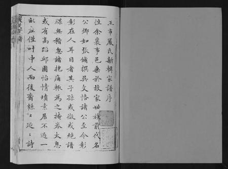 江苏严氏族谱-严氏家谱[不分卷].pdf电子版插图1