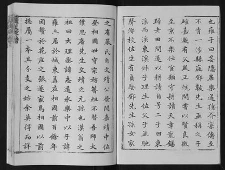江苏严氏族谱-严氏家谱[不分卷].pdf电子版插图2